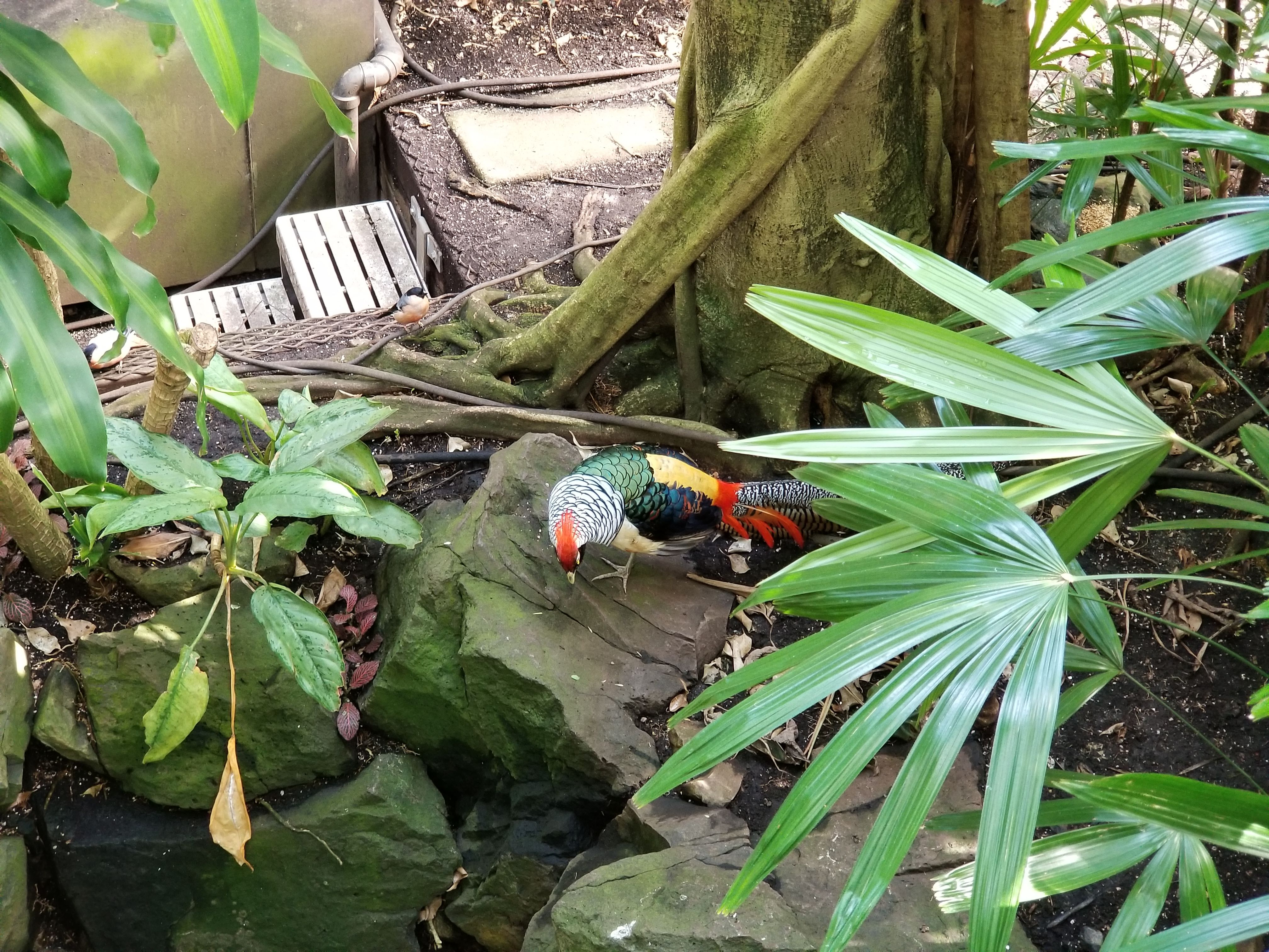20180321_144203.jpg