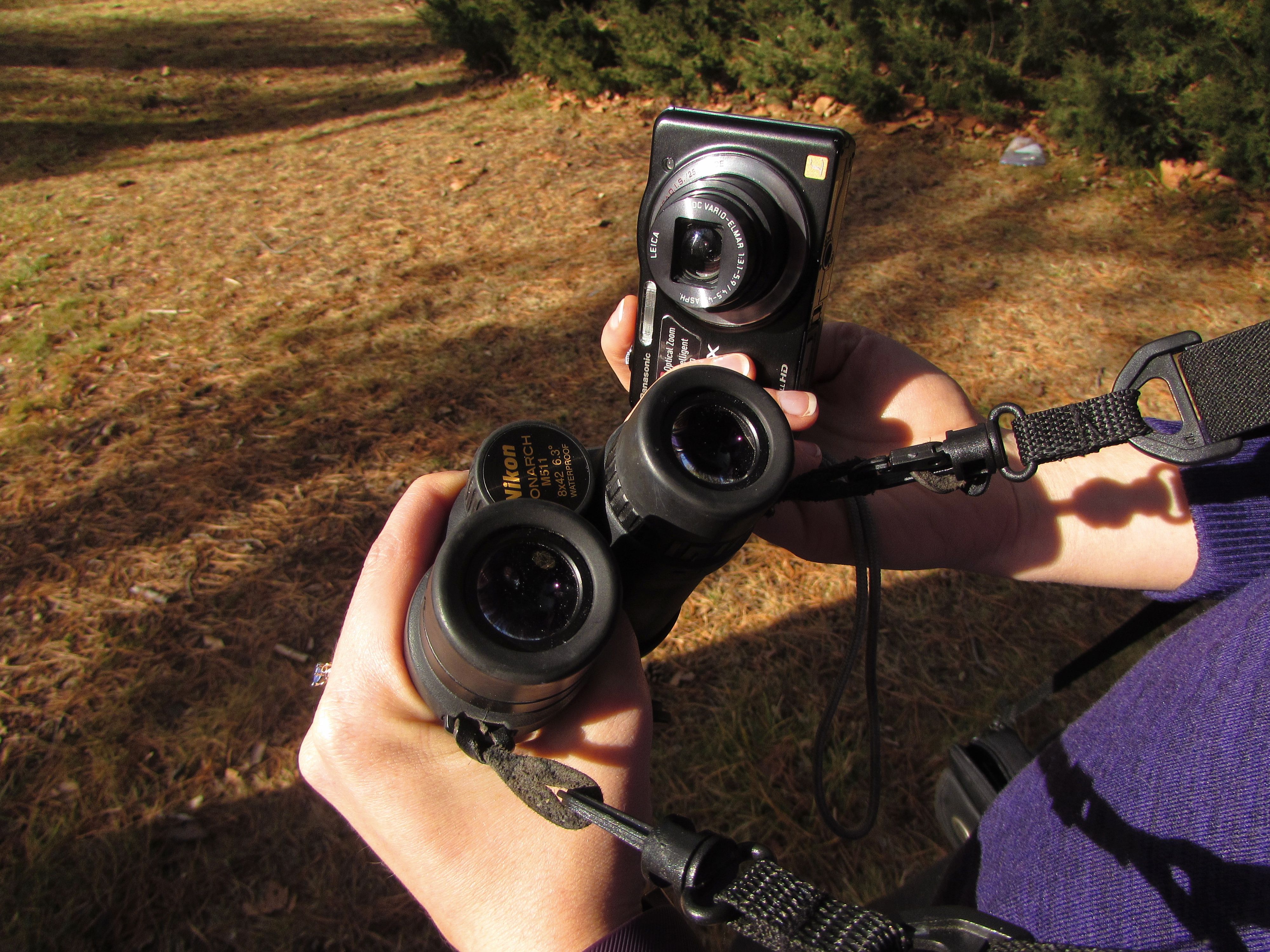 Camera & Binoculars.jpg