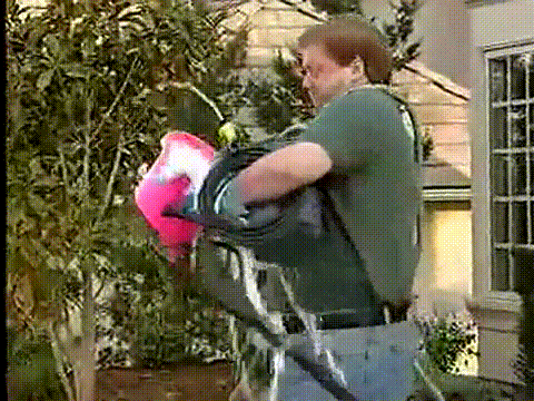 giphy-9.gif