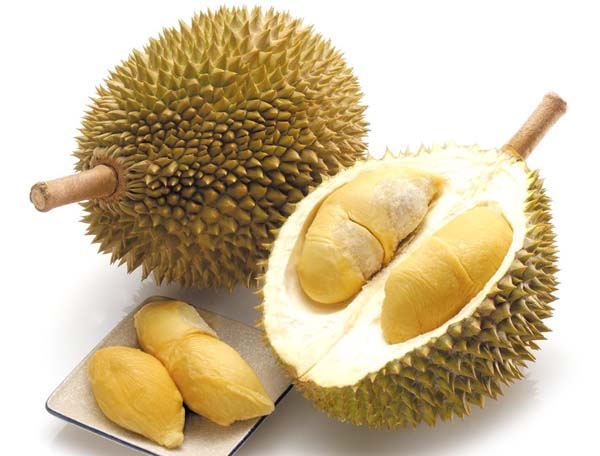 durian (1).jpg