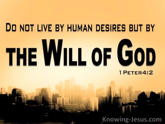 1-Peter-4-2-Live-By-The-Will-Of-God-black-copy.jpg