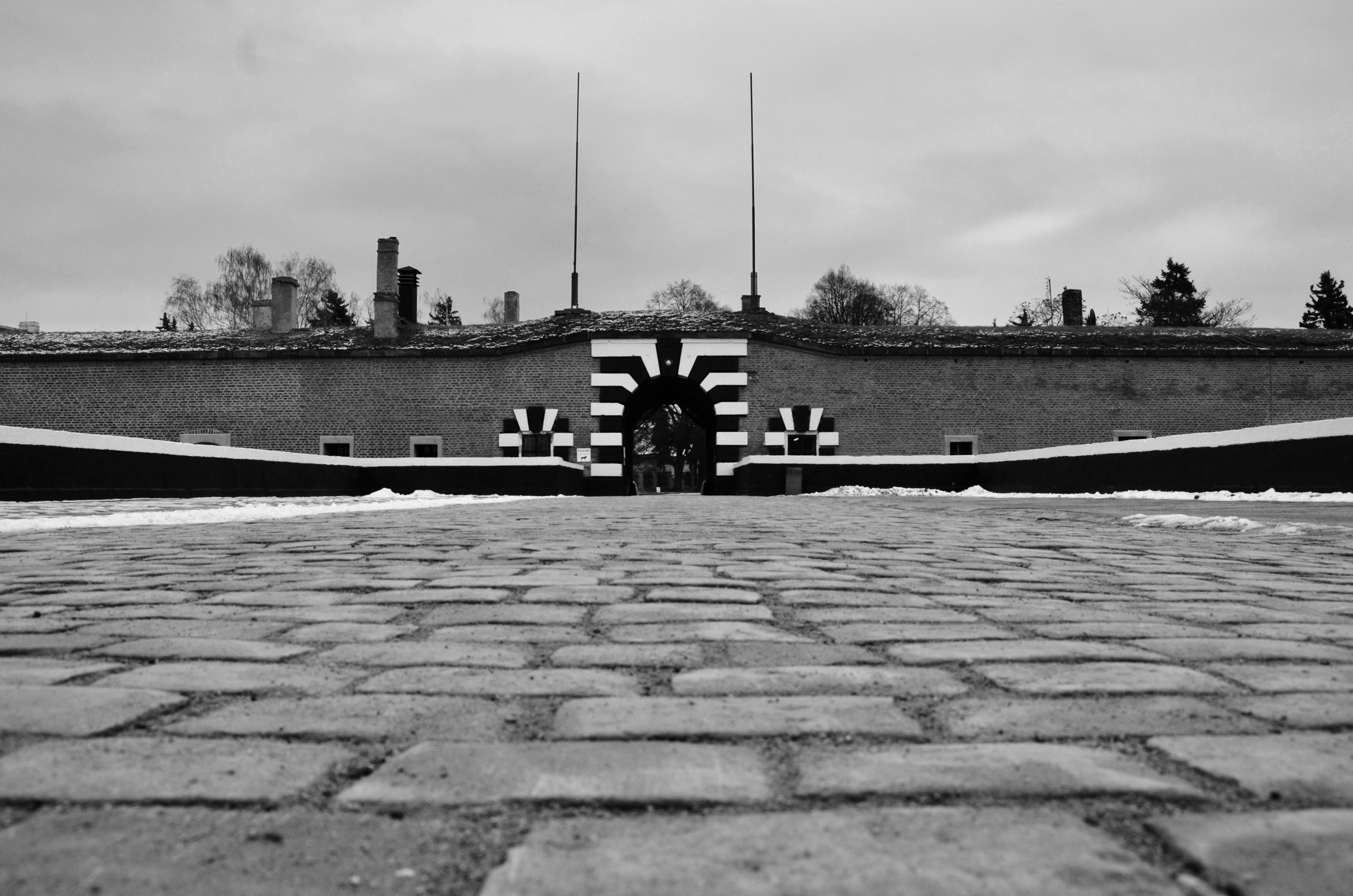 DSC_3659.jpg