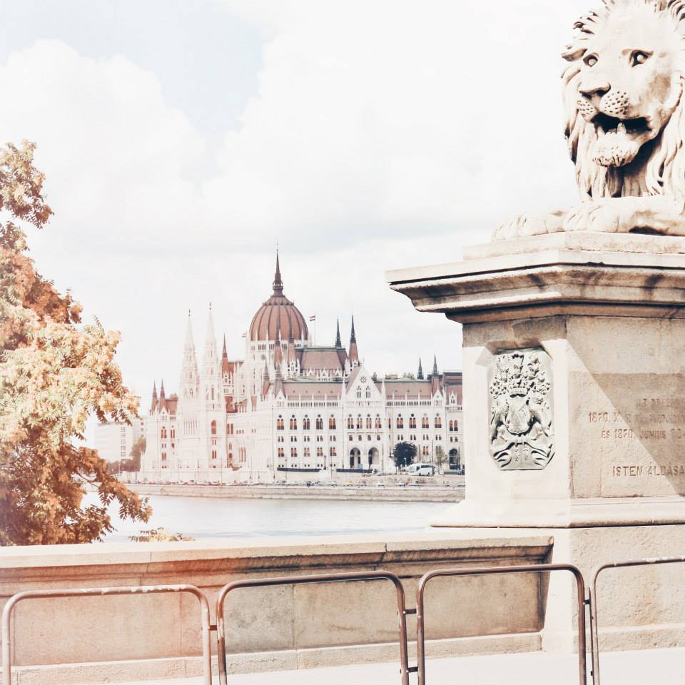 Looking at the parlement from the Széchenyi bridge.jpg