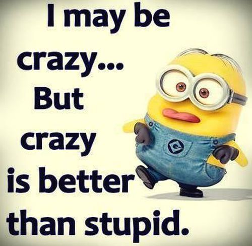 dde46b2f64123defec941ebe3baf51a2--stupid-funny-pictures-funny-minion-pictures.jpg