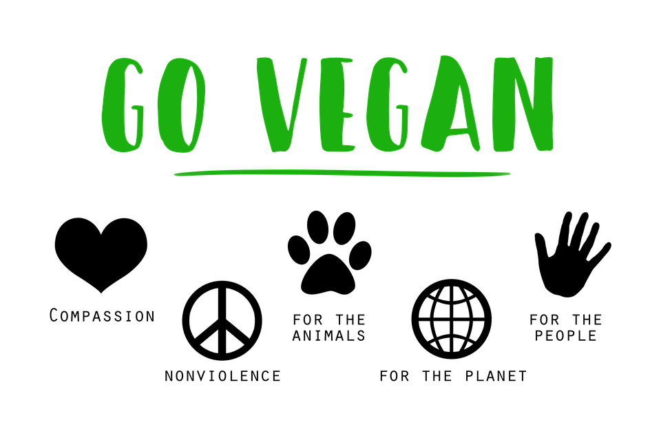 vegan-1343429_960_720.png