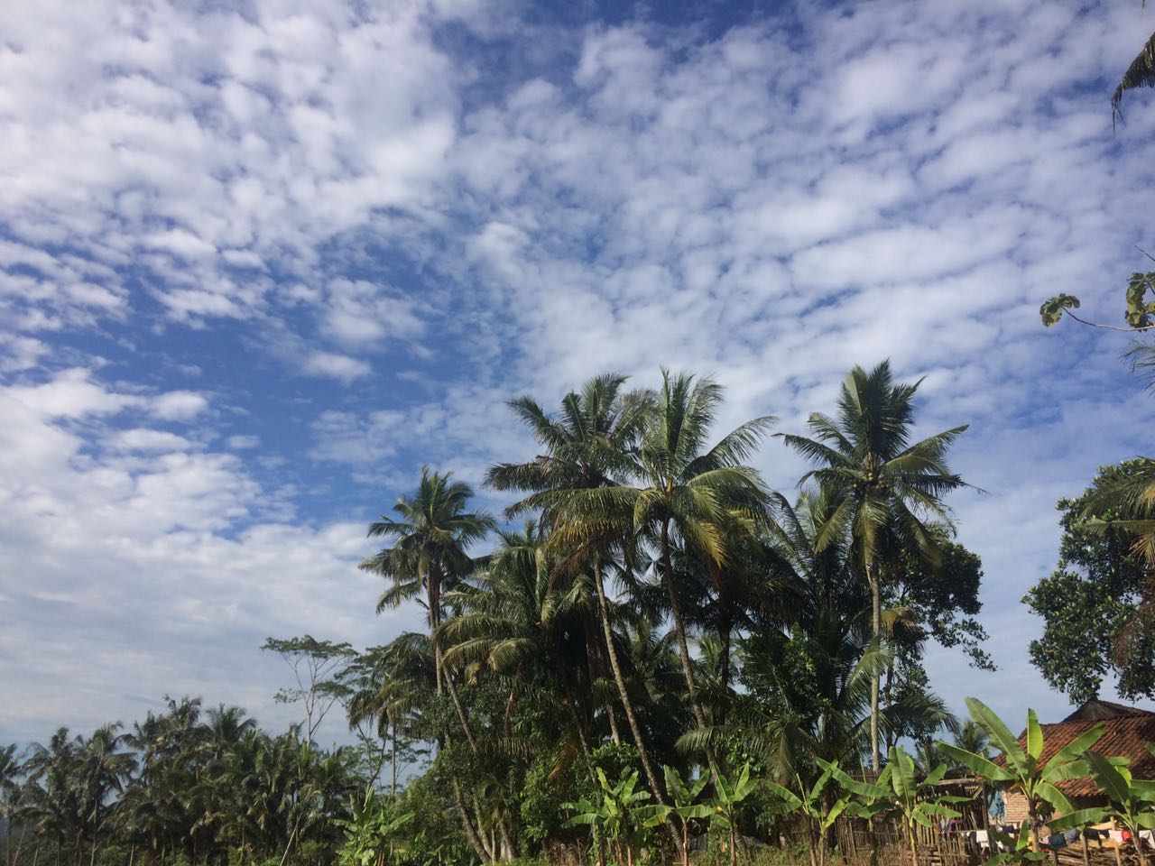 IMG-20180210-WA0017.jpg