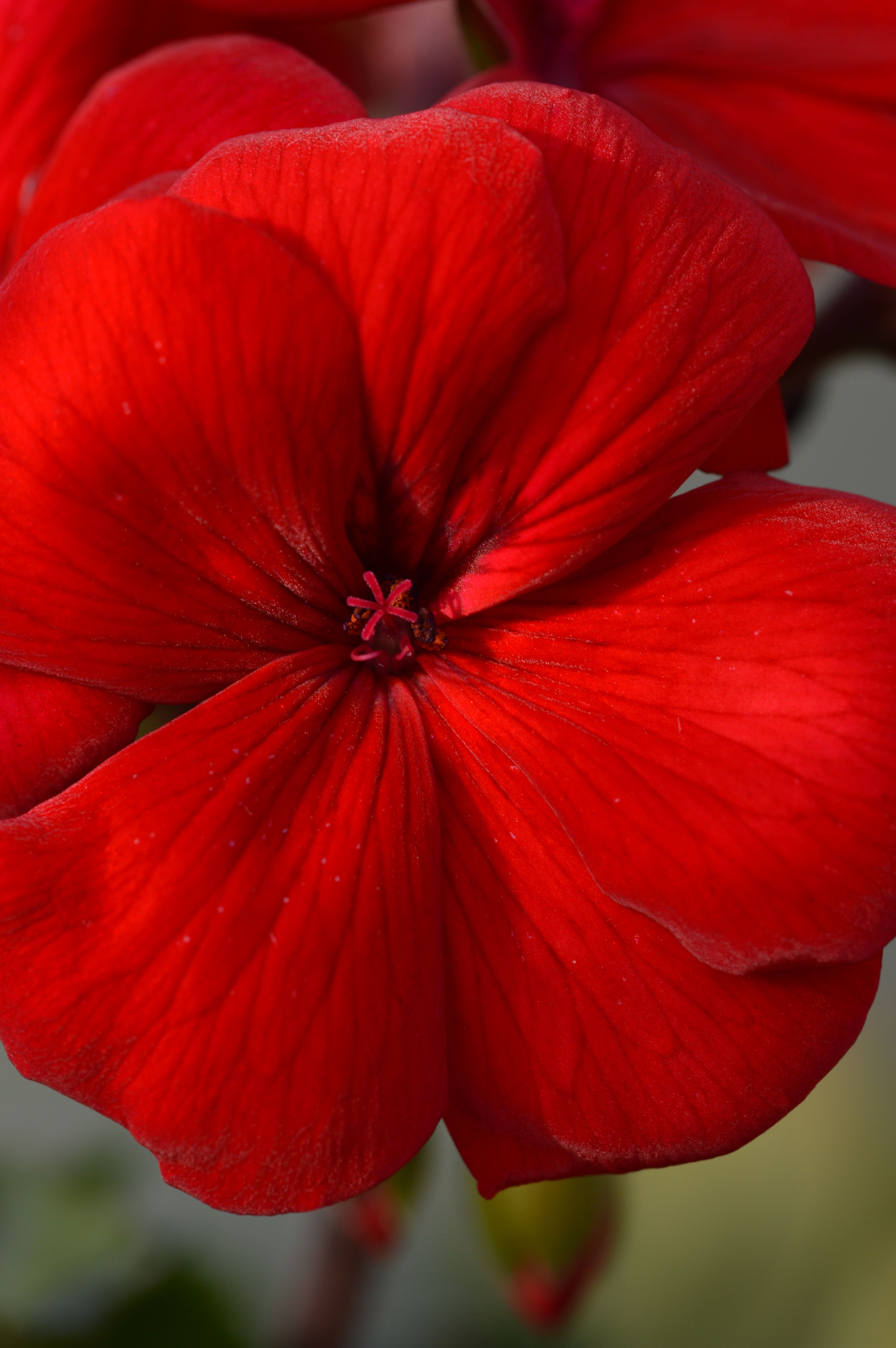 DSC_0353.JPG