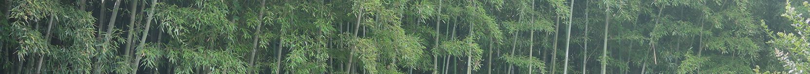 Steemit banner for @limelight