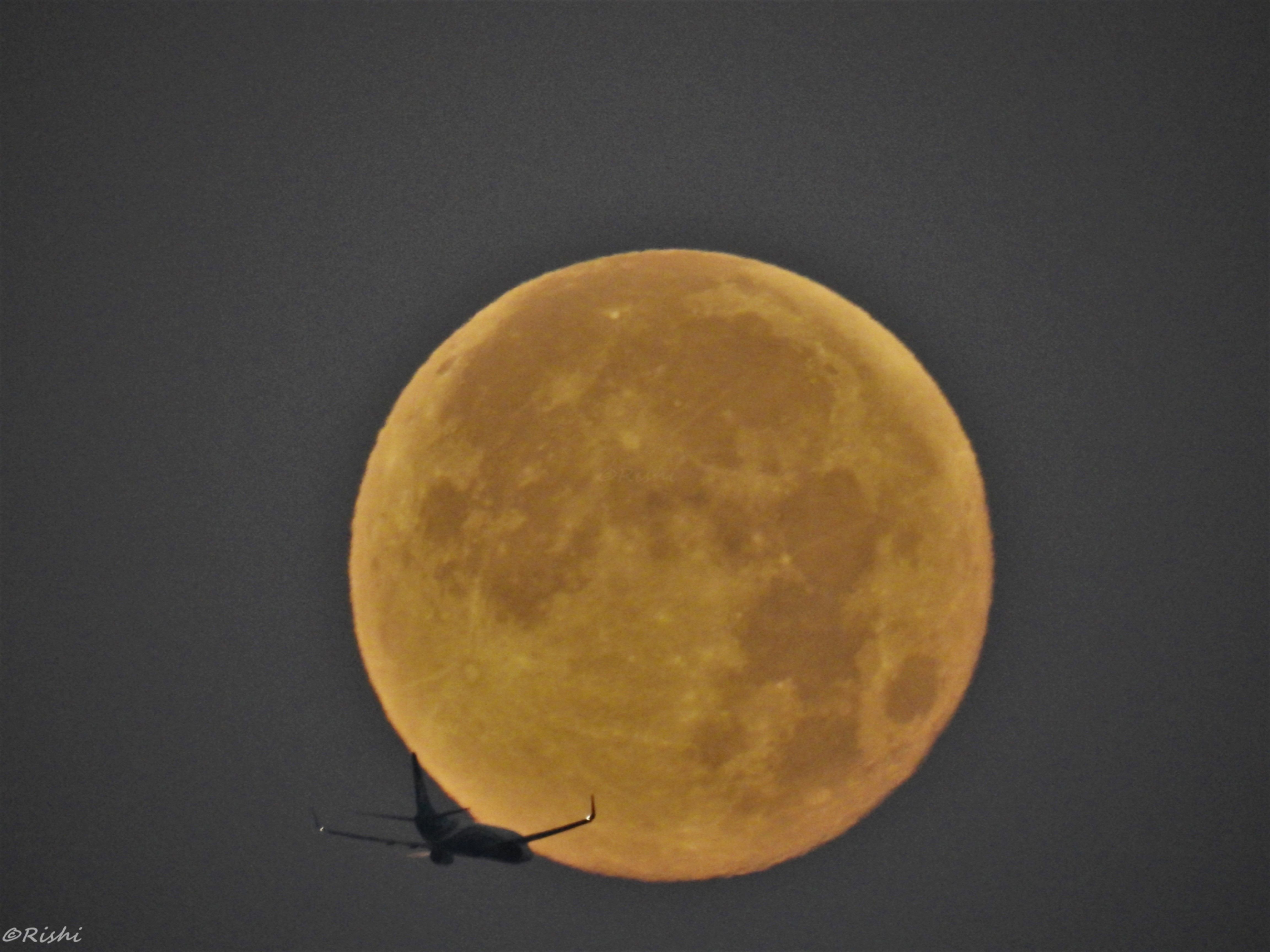 plane moon.jpg