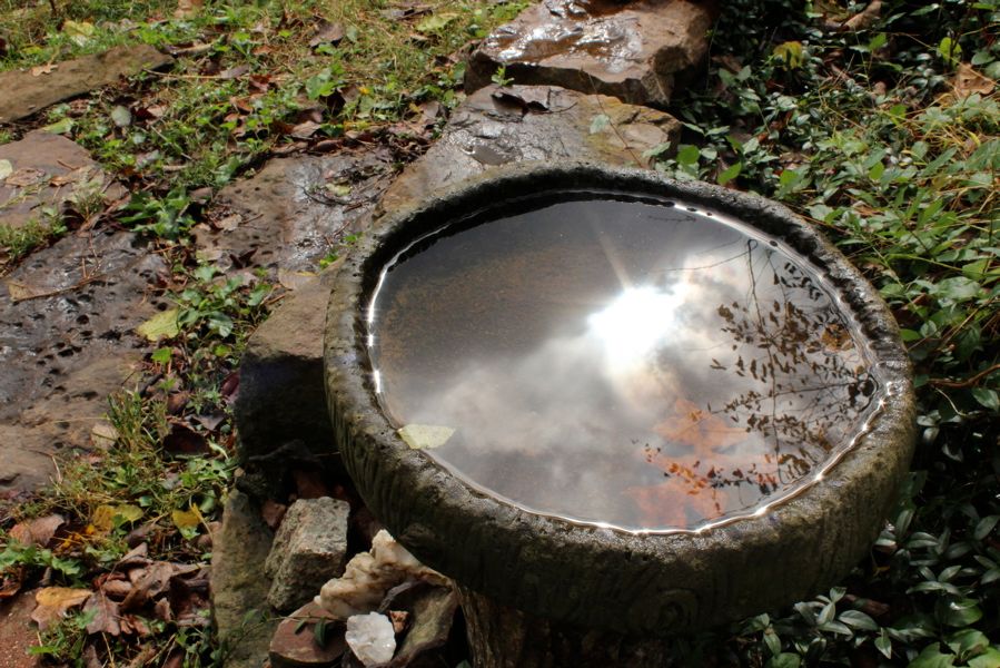 water11.jpg