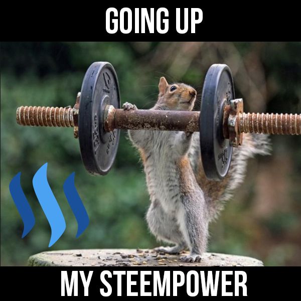 steem power.jpg