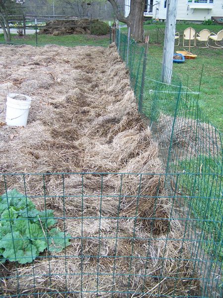 Big garden - fencing finished2 crop May 2018.jpg