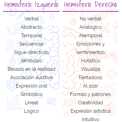 caracteristicas hemisferios cerebrales.png