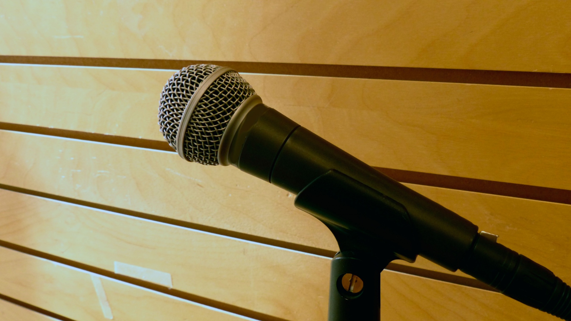 microphone-2.jpg