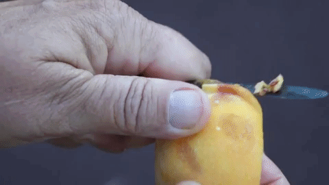 x curlfree peaches 9.gif