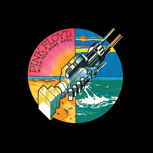 pink floyd album cover