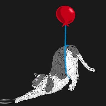 Cat balloon small.jpg