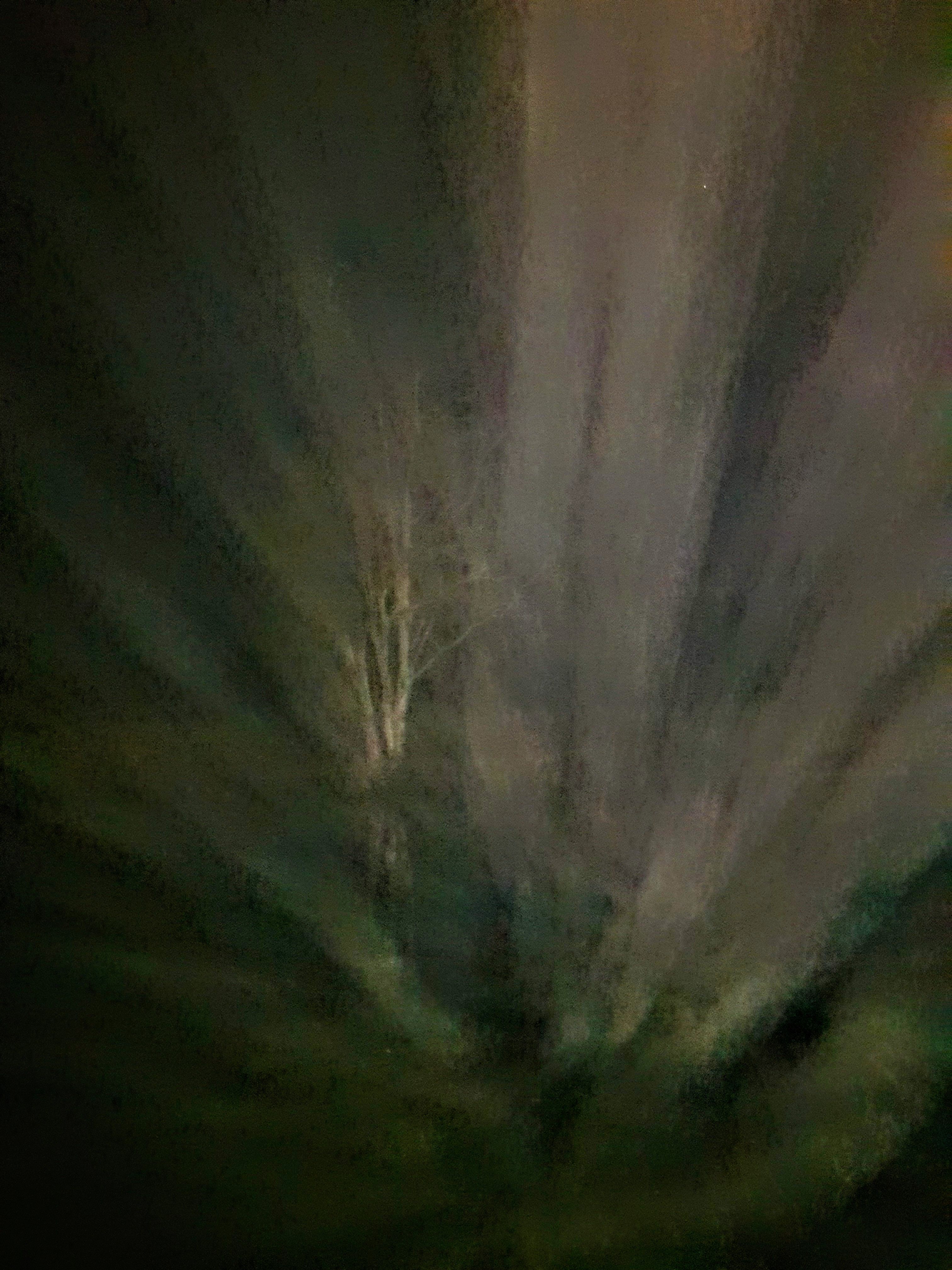 20180504_015615~3.jpg