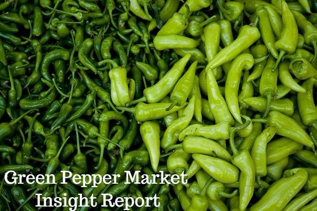 Green Pepper Market.jpg