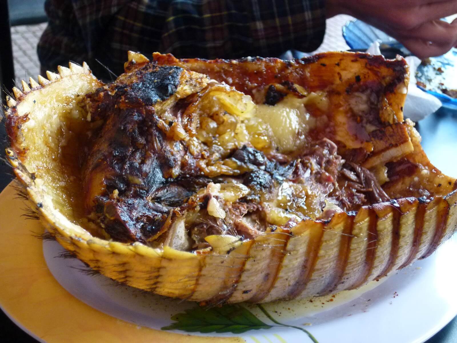 armadillo-asado.jpg