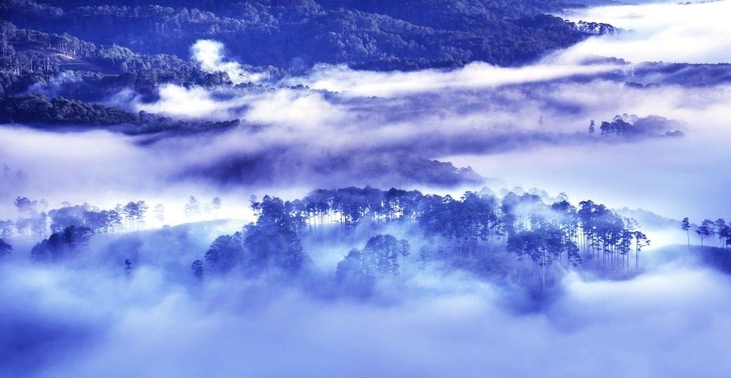 bluetint-mist-land.jpg
