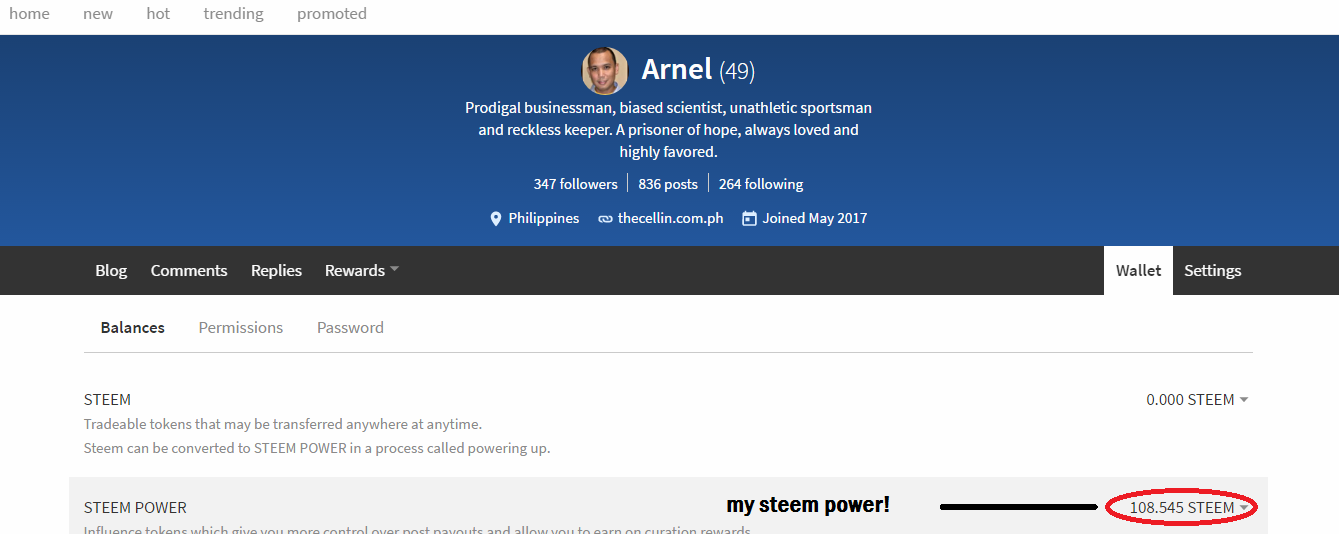 Steemit Profile.png