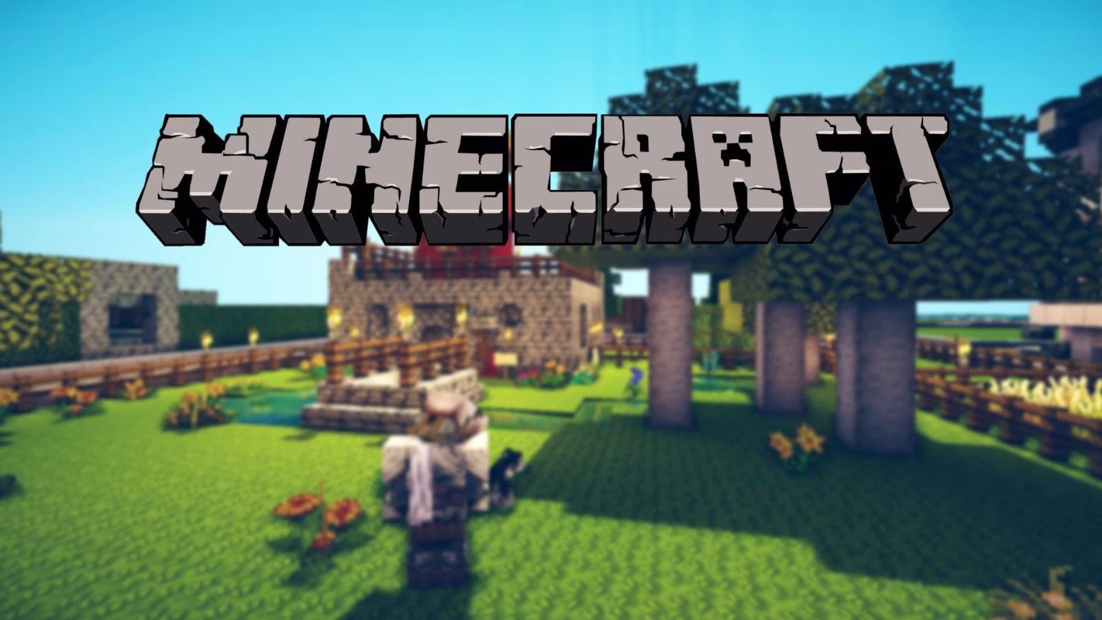 where to get minecraft cheap