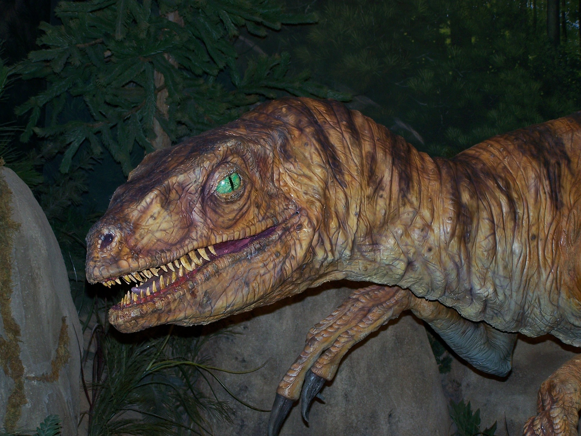 velociraptor-950447_1920.jpg