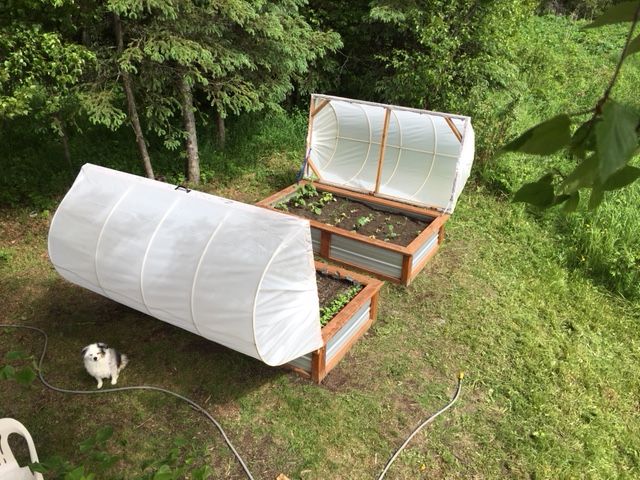Raised Garden Beds With Hinged Top Steemit