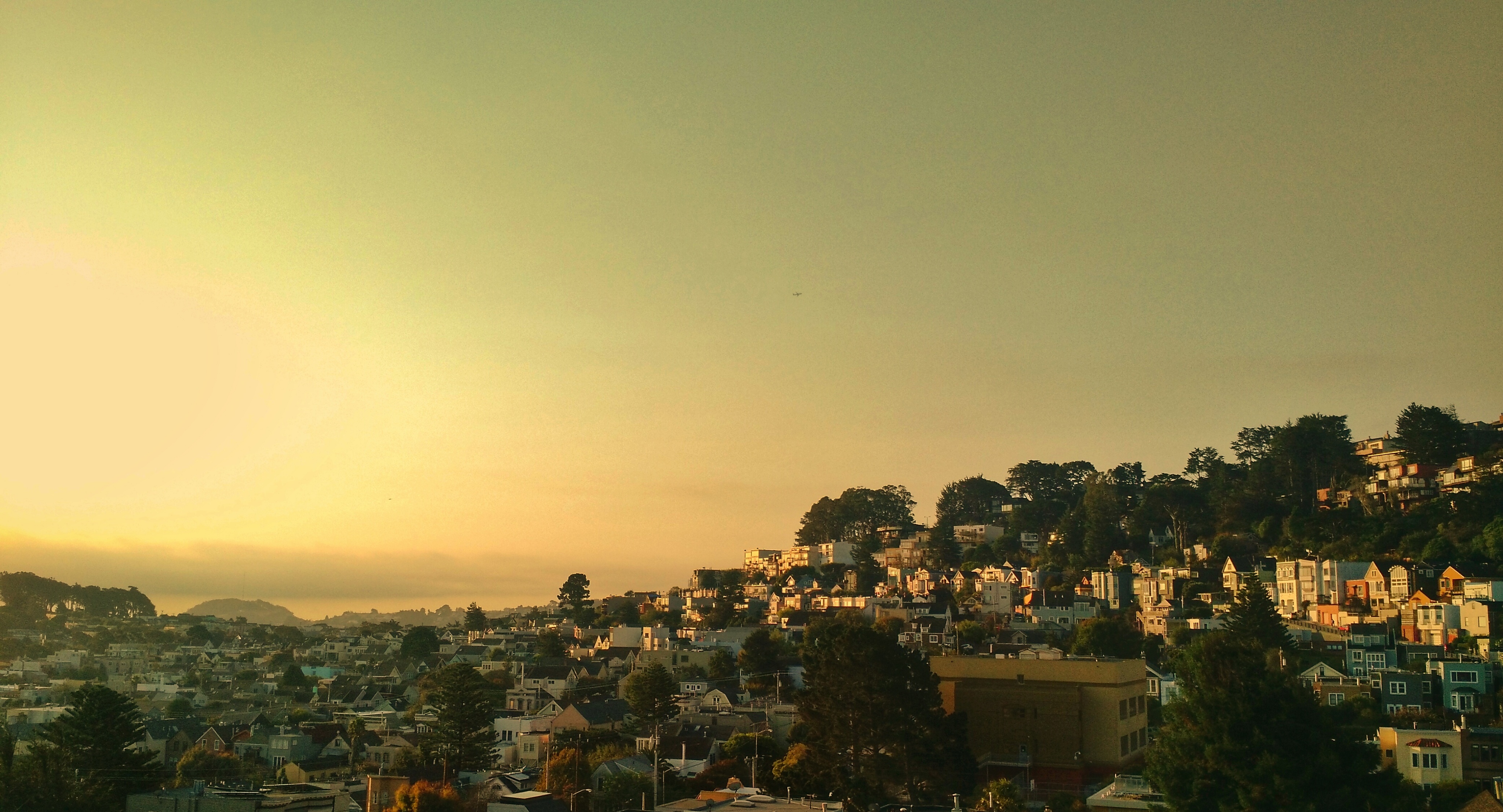 The Trees of Noe Valley - San Francisco.jpg