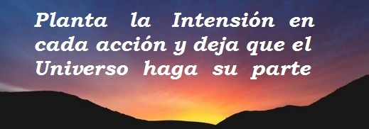 Planta la intención en cada acción y deja que el universo haga su parte.jpg