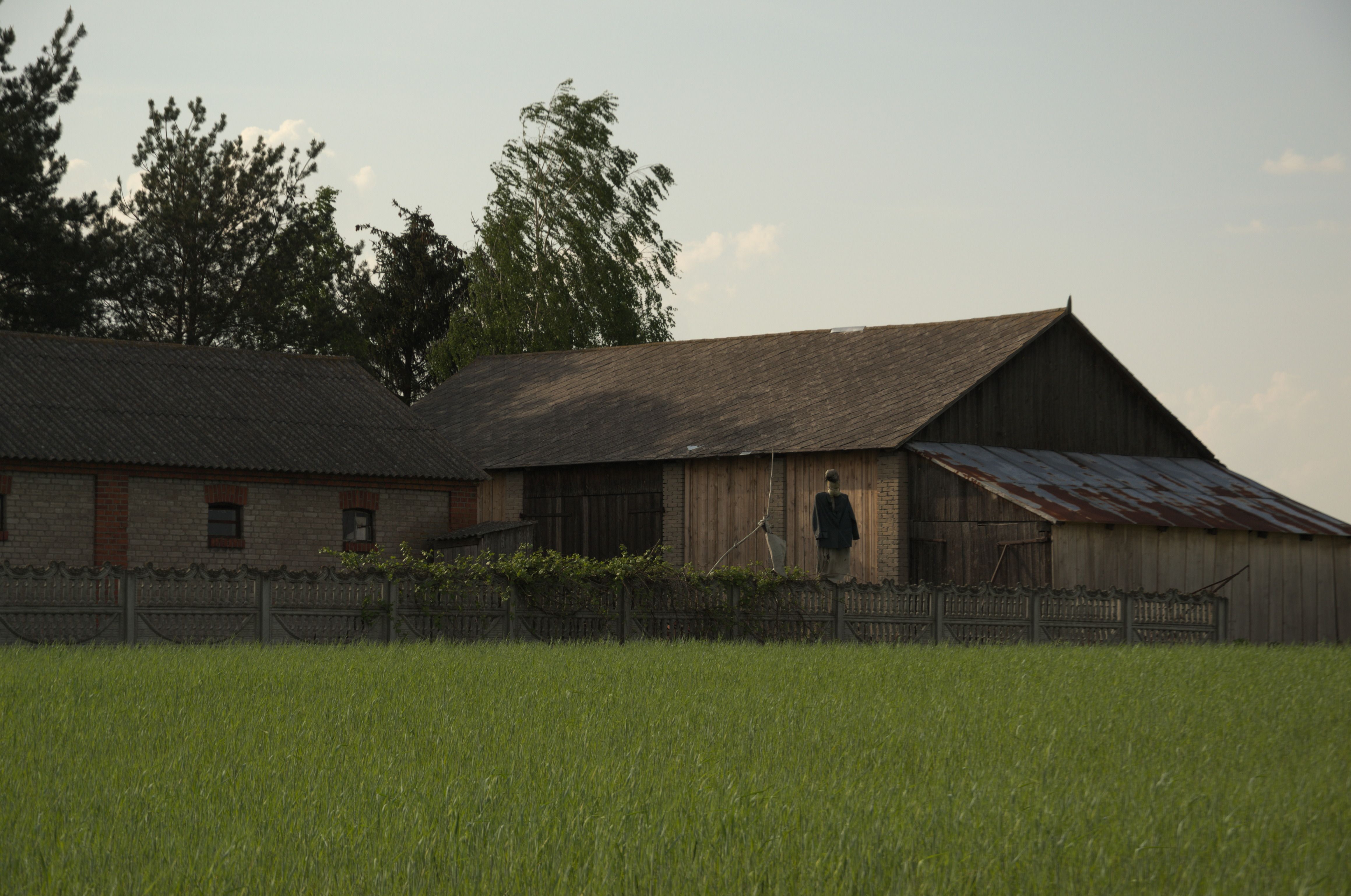 DSC_0626-1.jpg