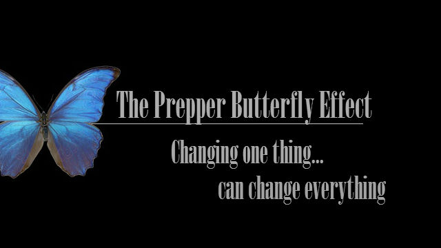prepper-butterfly1.jpg