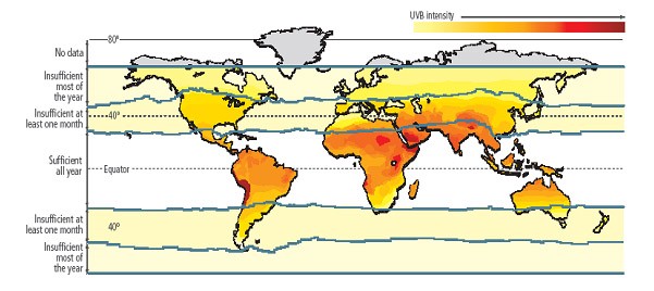 vitamin D world map production.jpeg