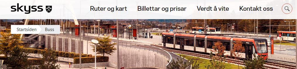 15.JPG