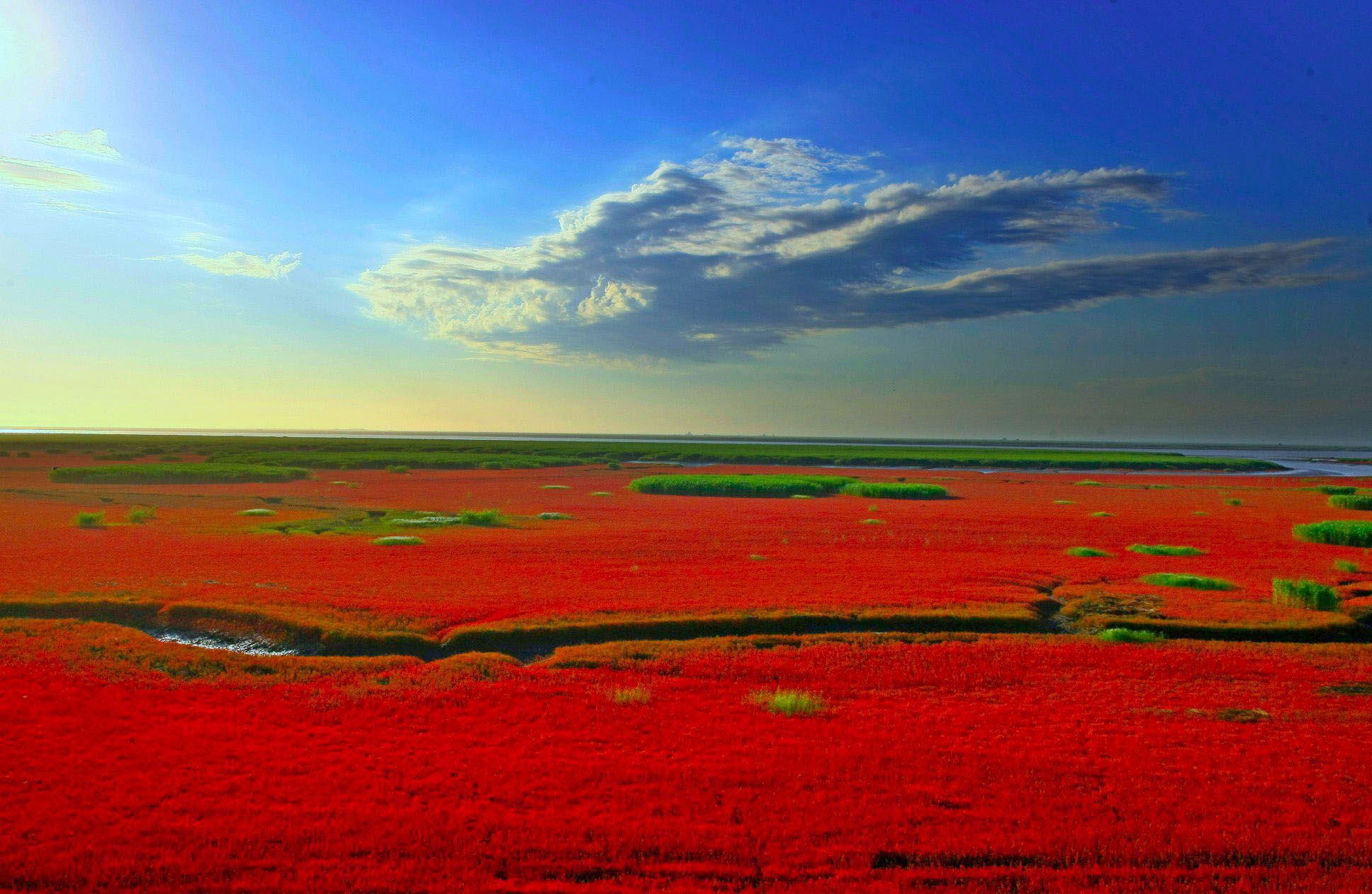 Красный пляж Паньцзинь