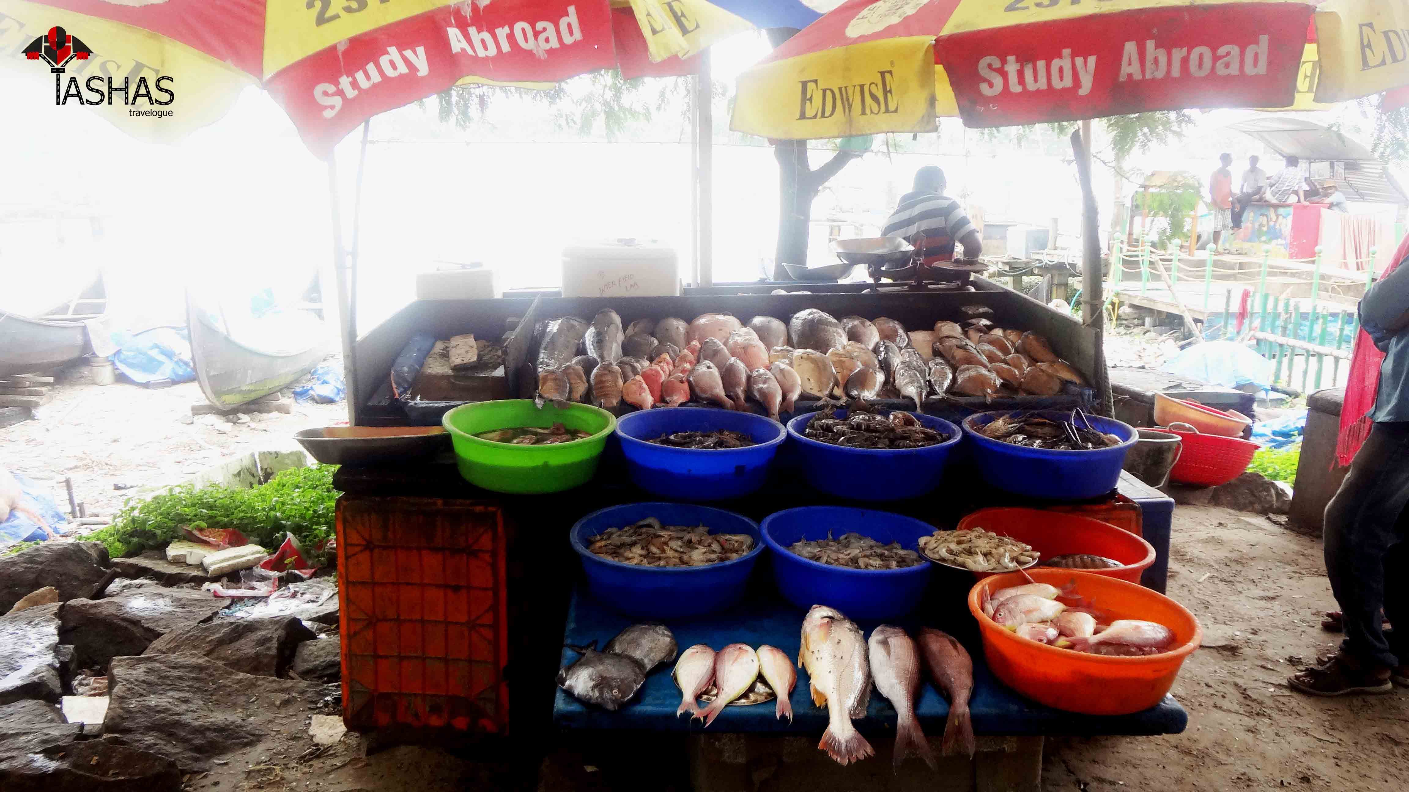 Fish stall.jpg