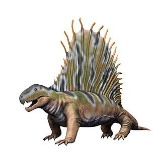 Dimetrodon_NT2_small.jpg