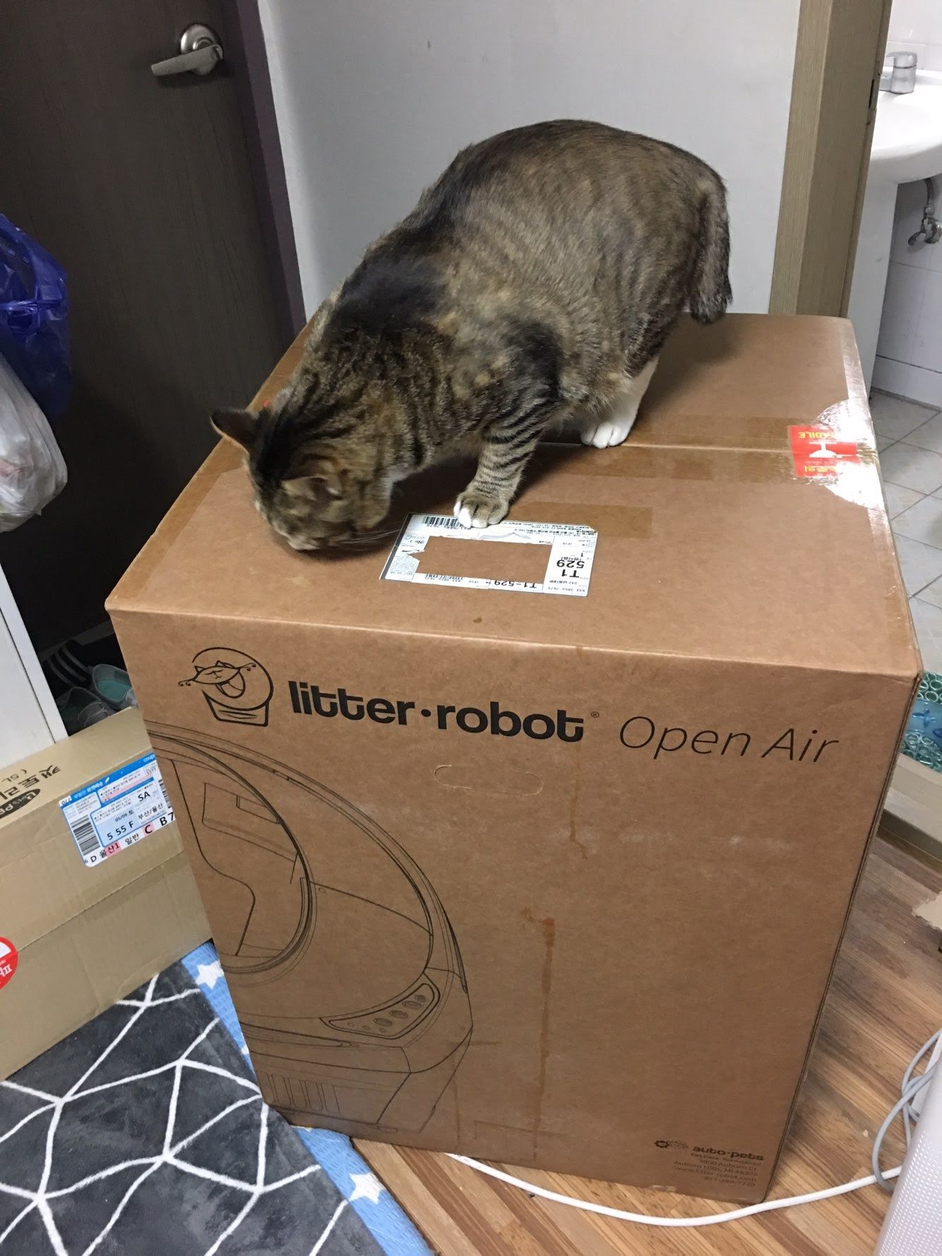 litter robot unboxing