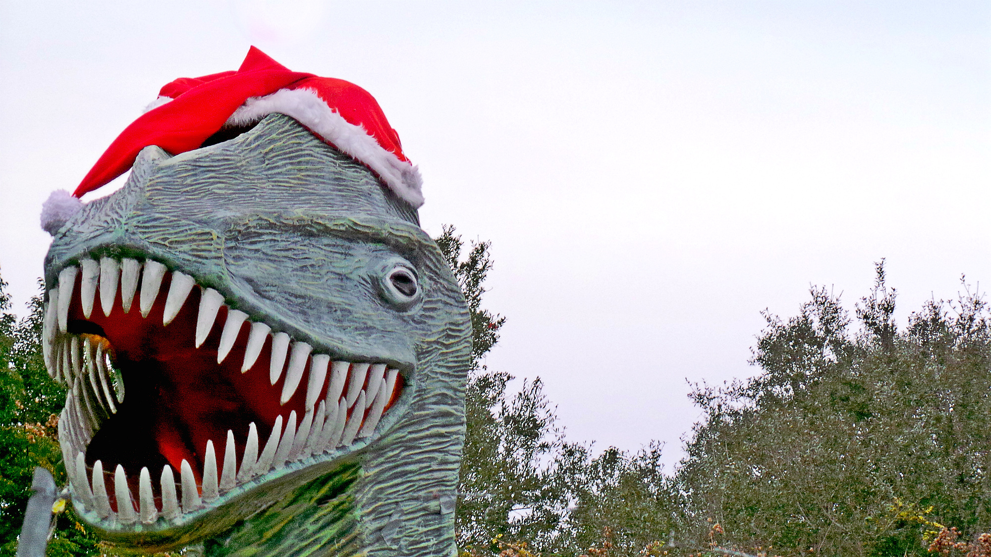 2015-12-26 17Debary.jpg