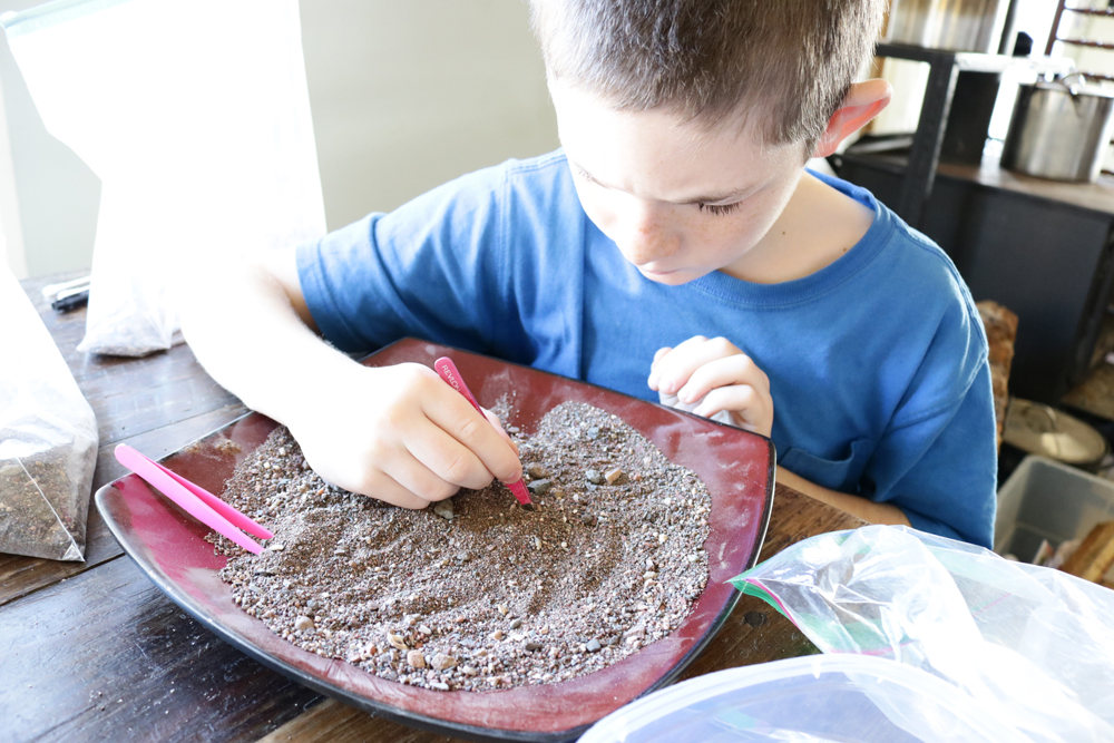 goldpanning.jpg