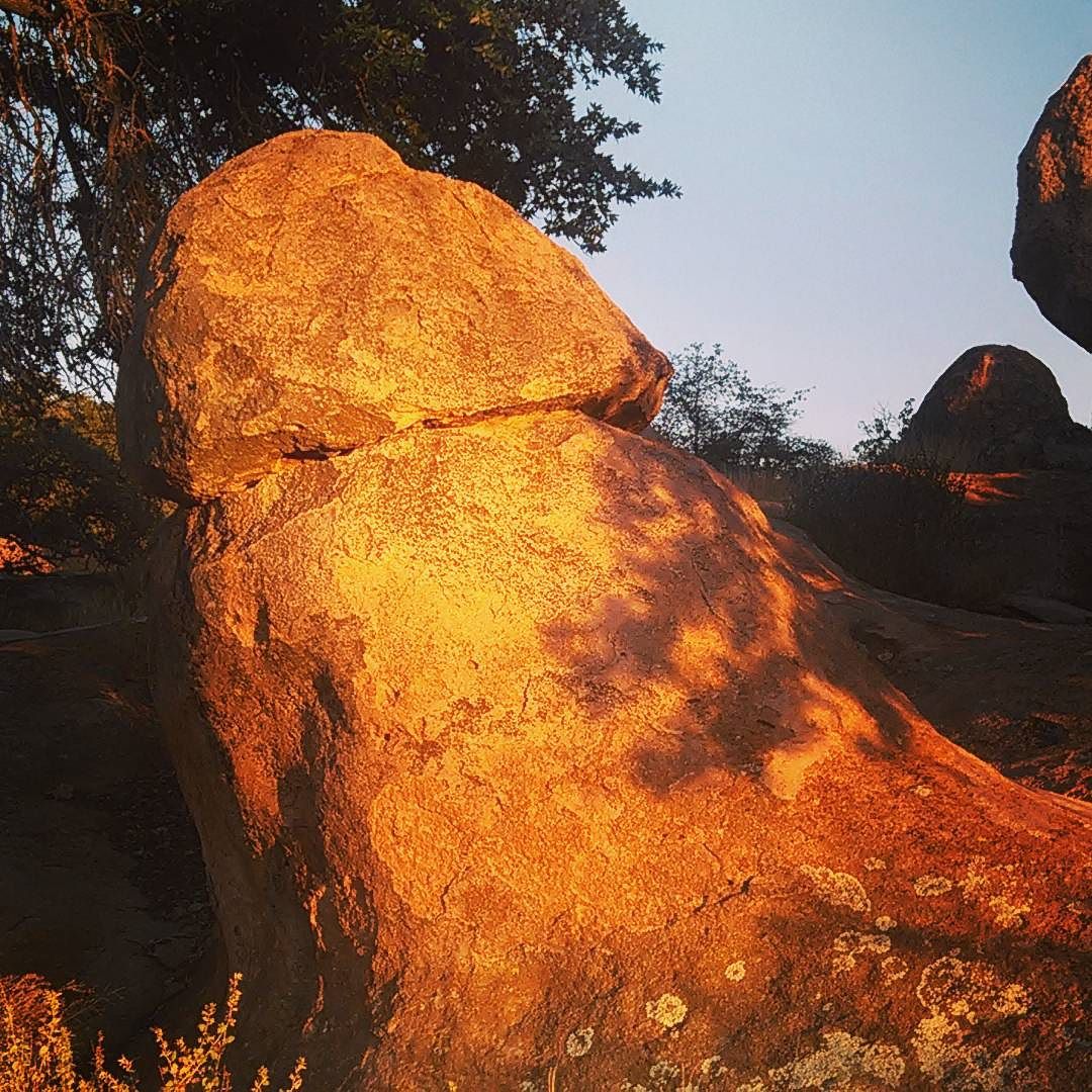 rock-hard-penis-pics