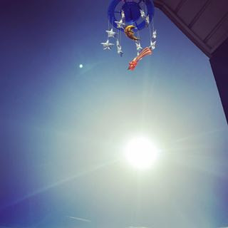 SUn in the summer.jpg