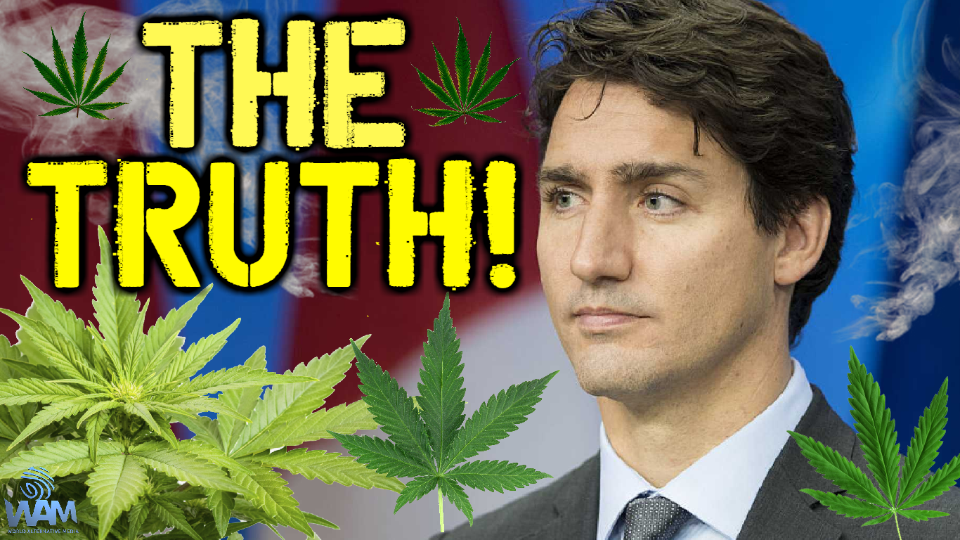 cannabis legalization in canada thumbnail.png