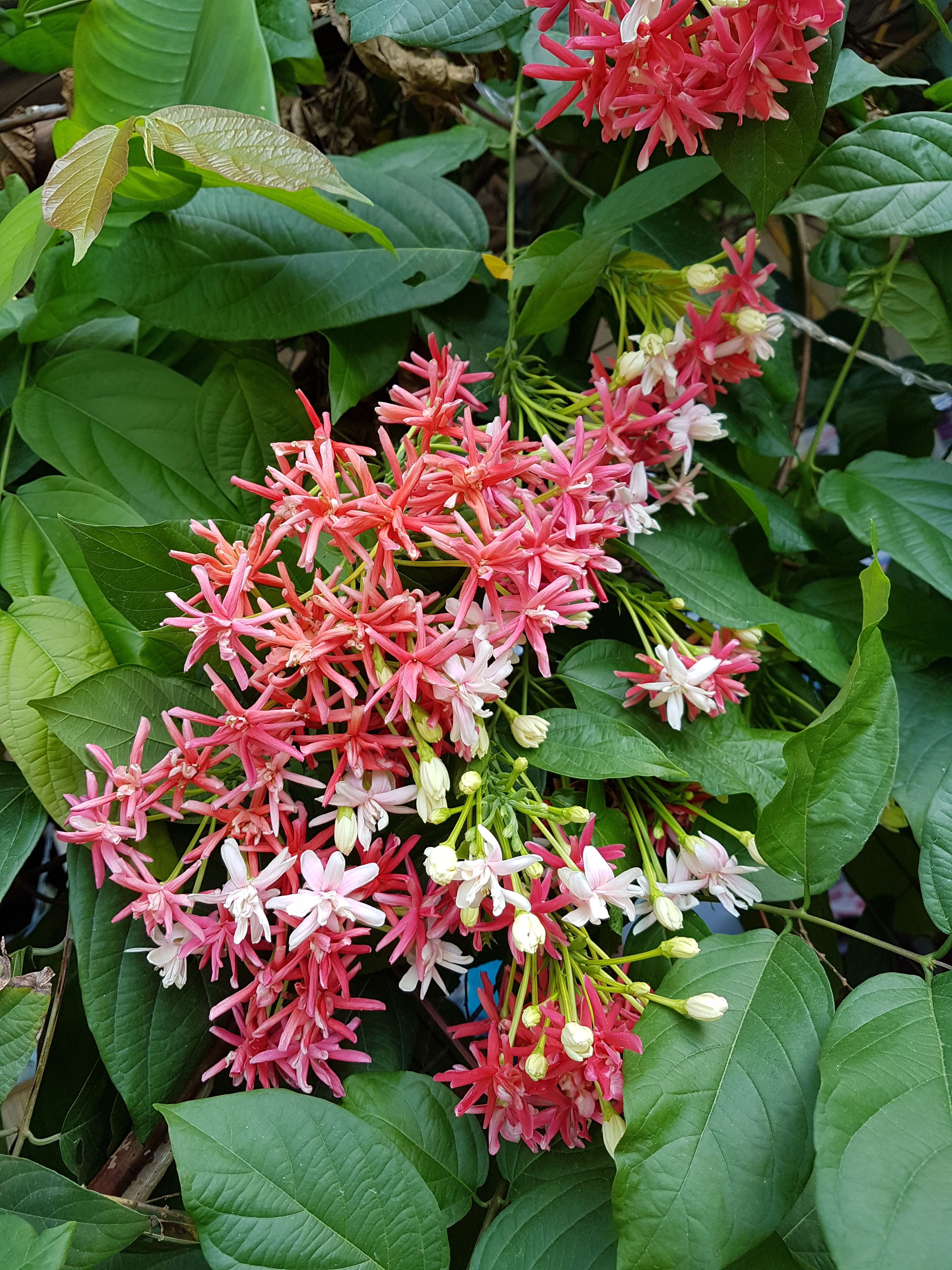 20170824_075846.jpg