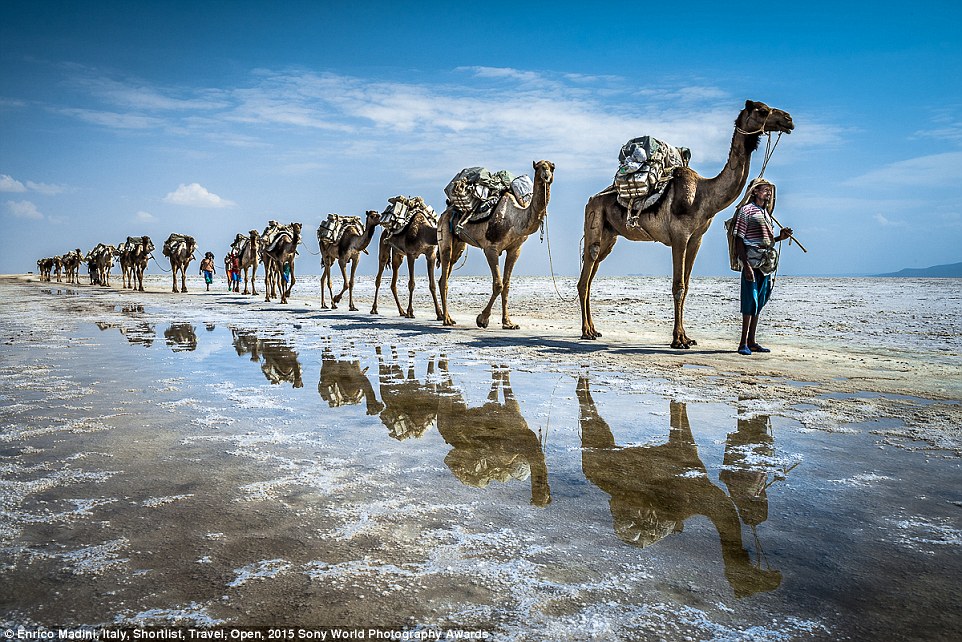 2601213100000578-2965645-Camel_train_Italian_photographer_Enrico_Madini_entered_this_sump-a-63_1424728828343.jpg