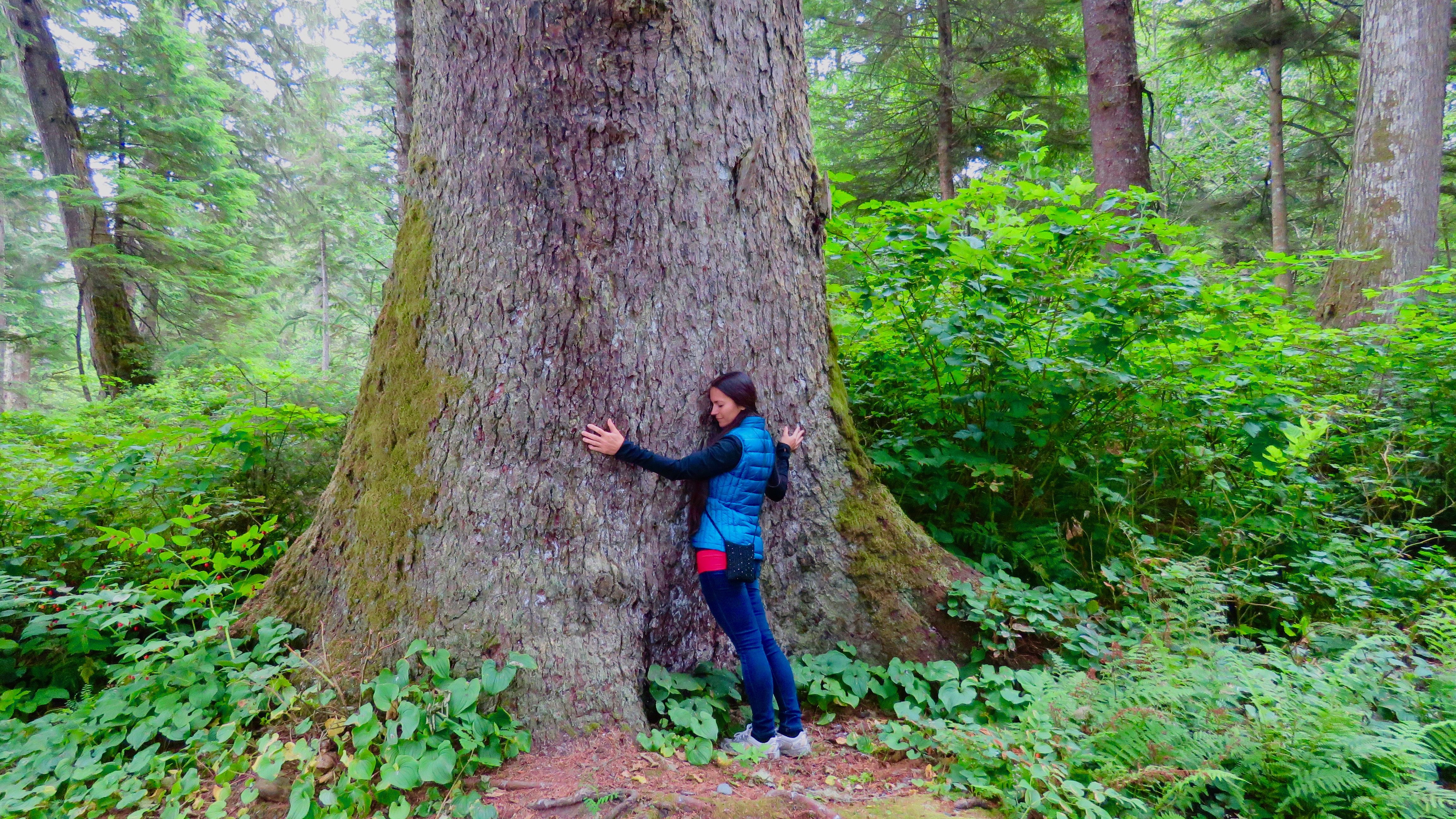 "My Favourite TreeHugger in the WORLD!". photography by @eric-boucher IMG_3158.jpg