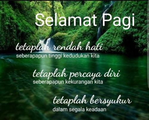 selamat pagi steemit lihat