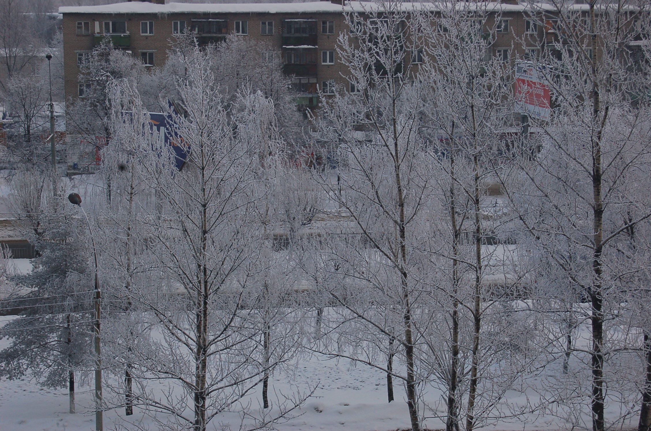 Зима в Брагине.jpg