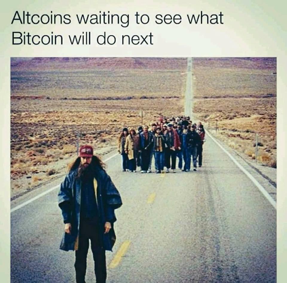 AltCoins Waiting on Bitcoin.jpg